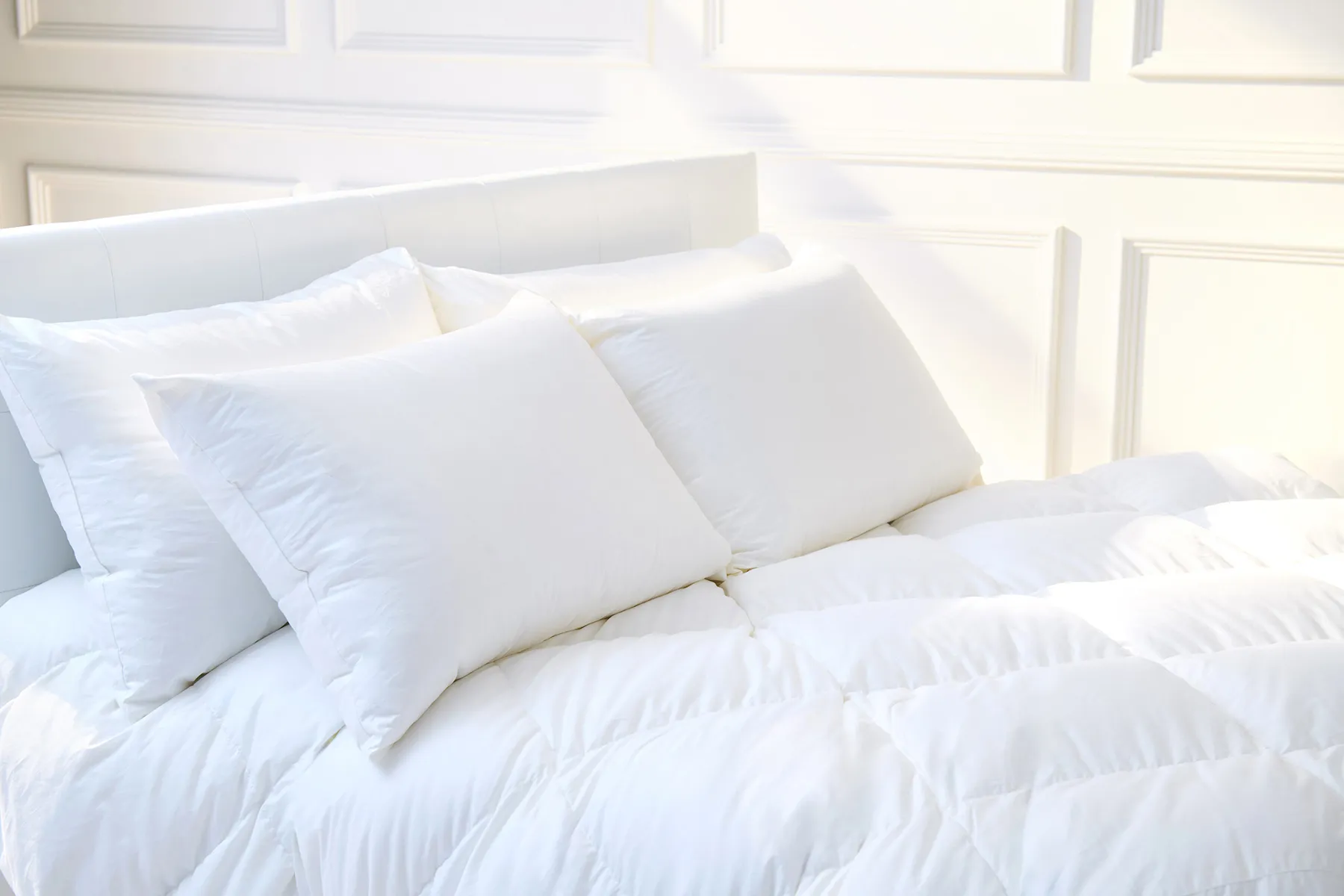 コーディネート