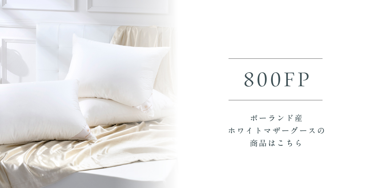 800FP