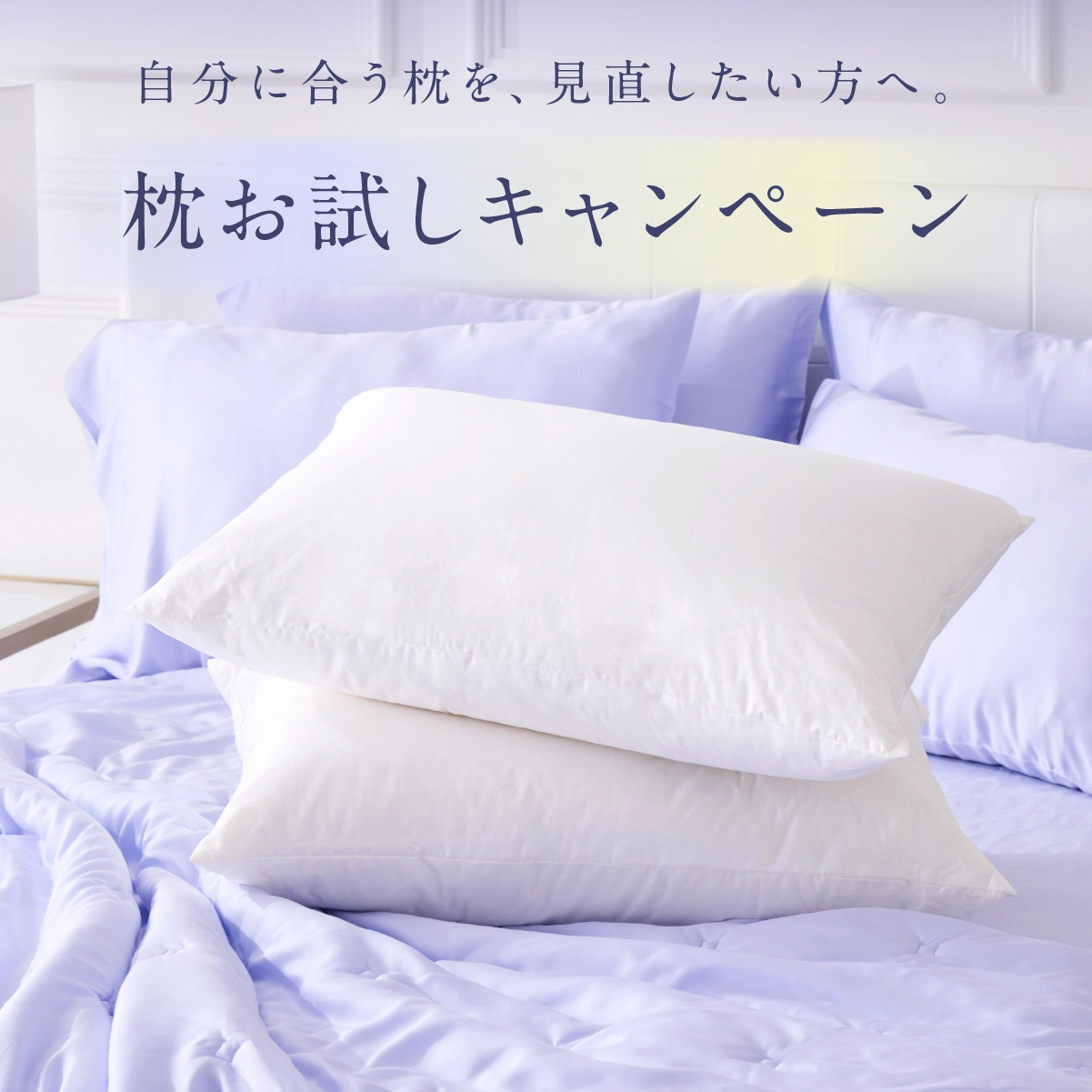 枕お試しキャンペーン