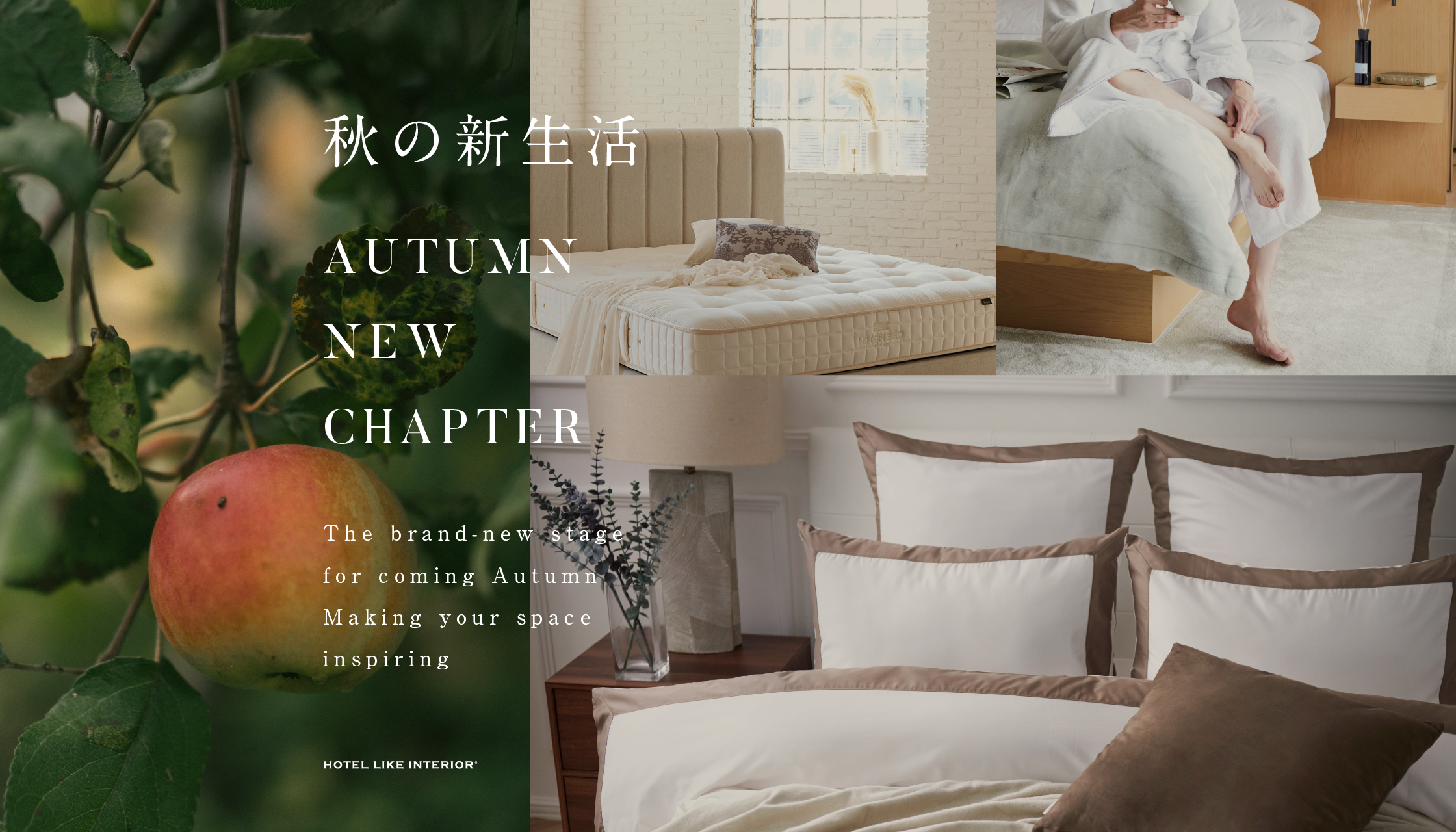 AutumnNewChapter