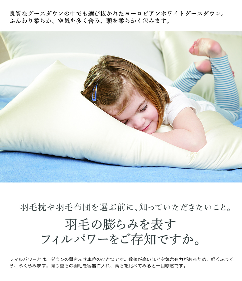 ホテルライクインテリア700FP ハンガリー産ホワイトグースダウンピロー