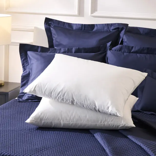 800FP ポーランド産 ホワイトマザーグースダウン