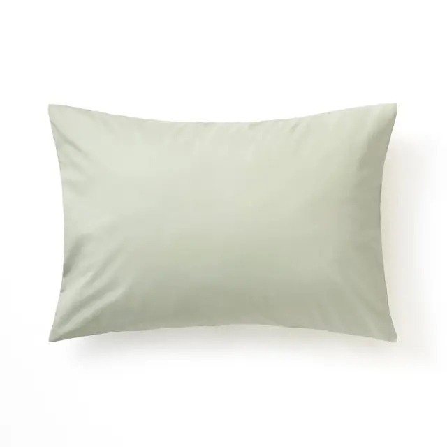 カラー ピスタチオ