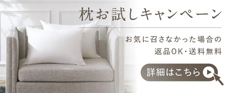 お試しキャンペーン実施中