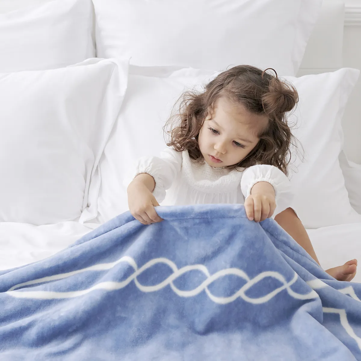 ホテルライクインテリア ブランケット毛布 2枚セット