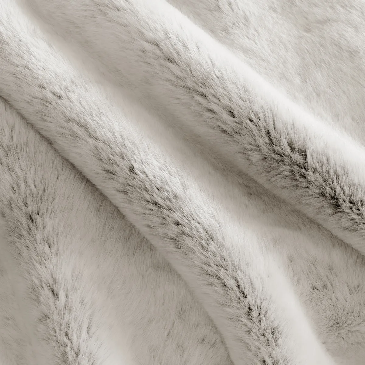 カラー トリュフ